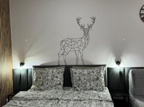 ApartamentPrzy TermachChochołowskich